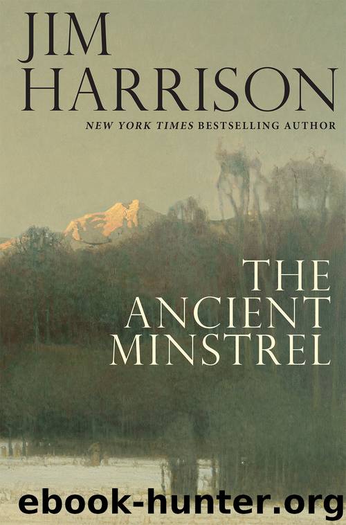 The Ancient Minstrel: Novellas by Harrison Jim