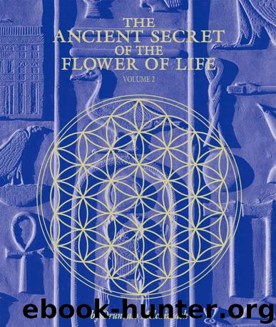 The Ancient Secret of the Flower of Life — Volume 2 by Melchizedek Drunvalo