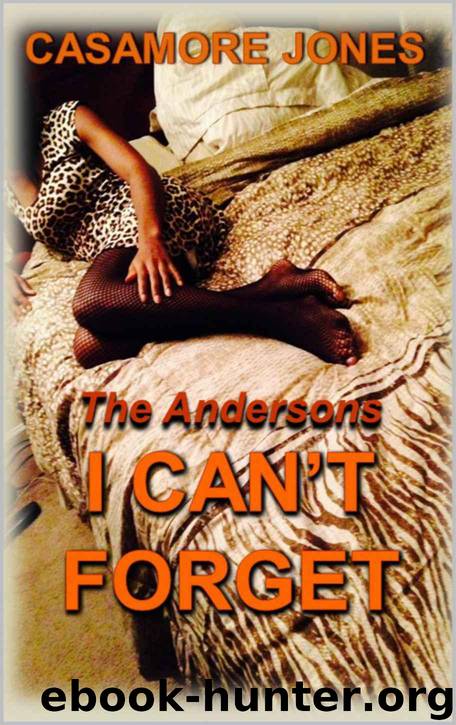 The Andersons 1: I Can't Forget by Casamore Jones