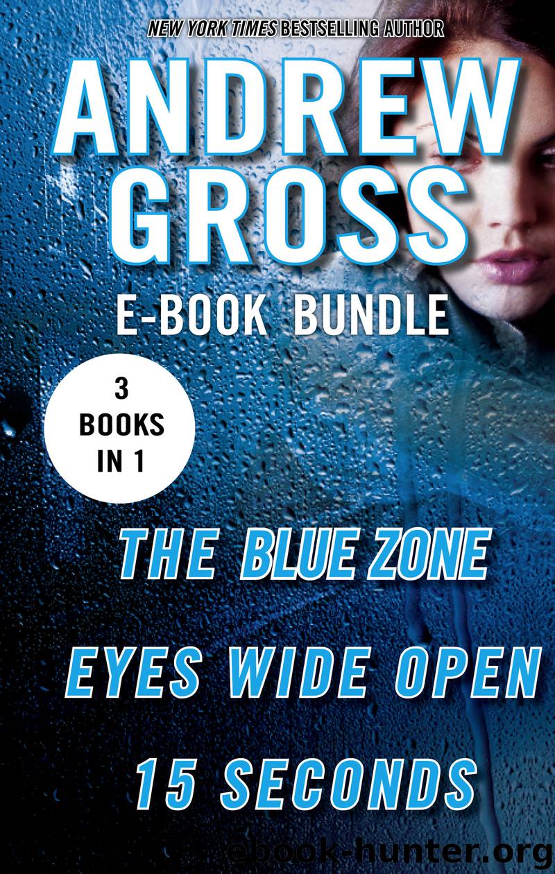 The Andrew Gross Thriller by Andrew Gross