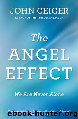 The Angel Effect by John Geiger