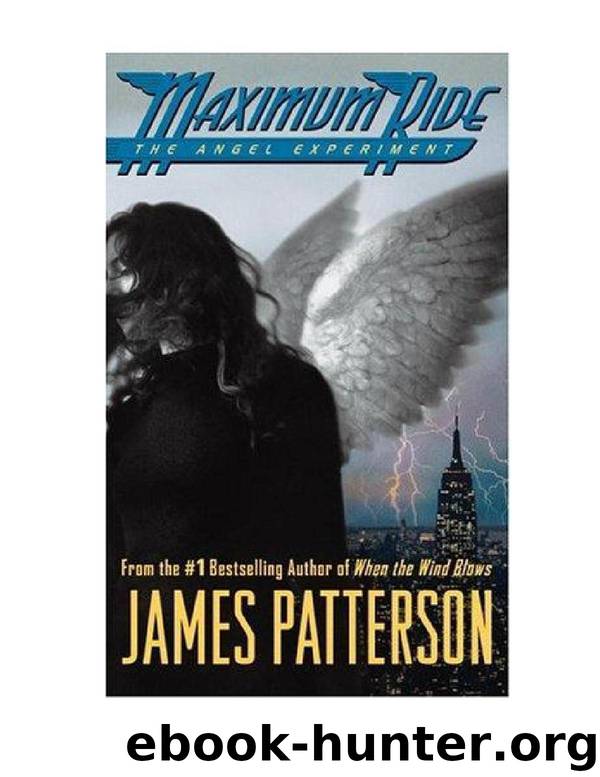 the angel experiment by james patterson