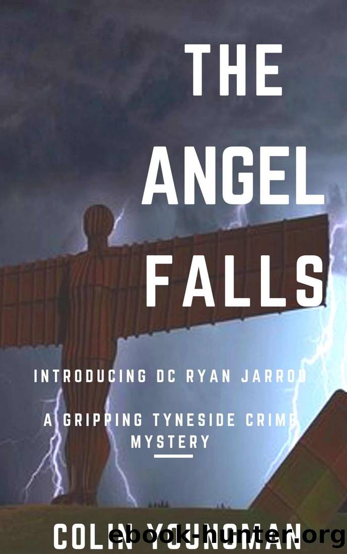 The Angel Falls by Colin Youngman