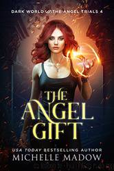 The Angel Gift by Michelle Madow