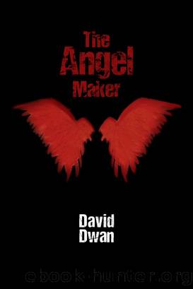 The Angel Maker by David Dwan