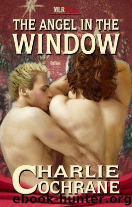 The Angel in the Window by Charlie Cochrane