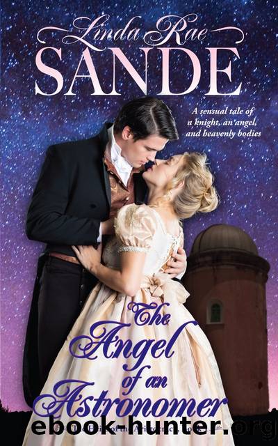 The Angel of an Astronomer by Linda Rae Sande