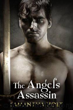 The Angel's Assassin by Samantha Holt