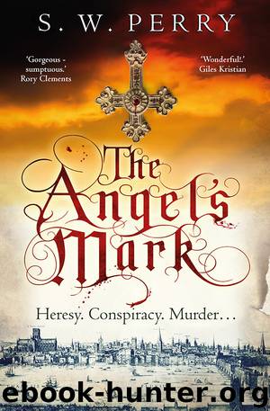 The Angel's Mark by S. W. Perry