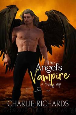 The Angel's Vampire by Charlie Richards