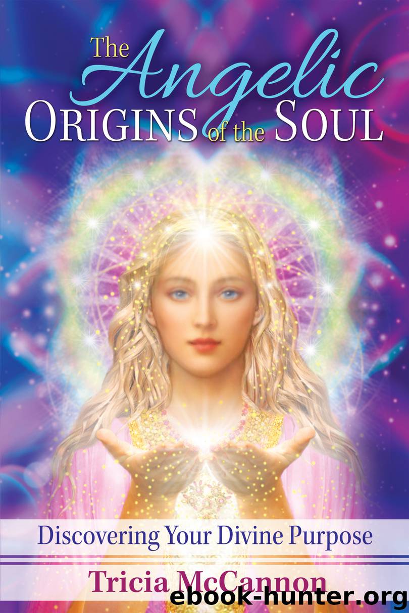 The Angelic Origins of the Soul by Tricia McCannon
