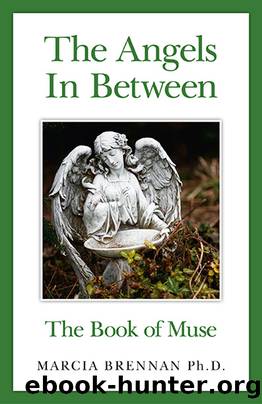 The Angels In Between by Marcia Brennan