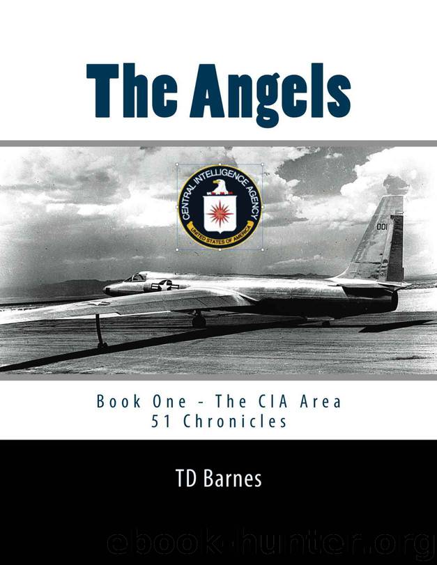 The Angels: Book One - The CIA Area 51 Chronicles by TD Barnes