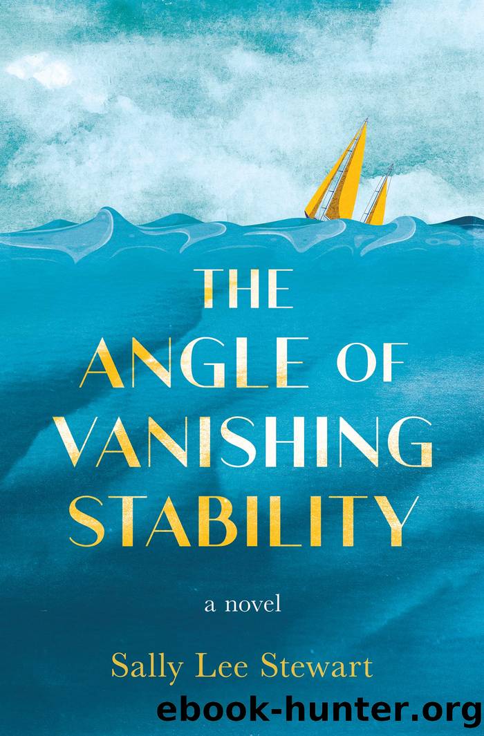 The Angle of Vanishing Stability by Sally Lee Stewart