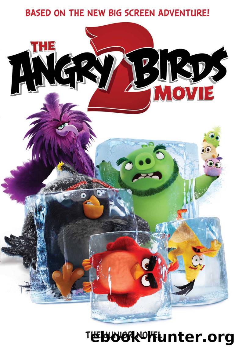 The Angry Birds Movie 2 by Heather Nuhfer