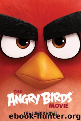 The Angry Birds Movie by Chris Cerasi