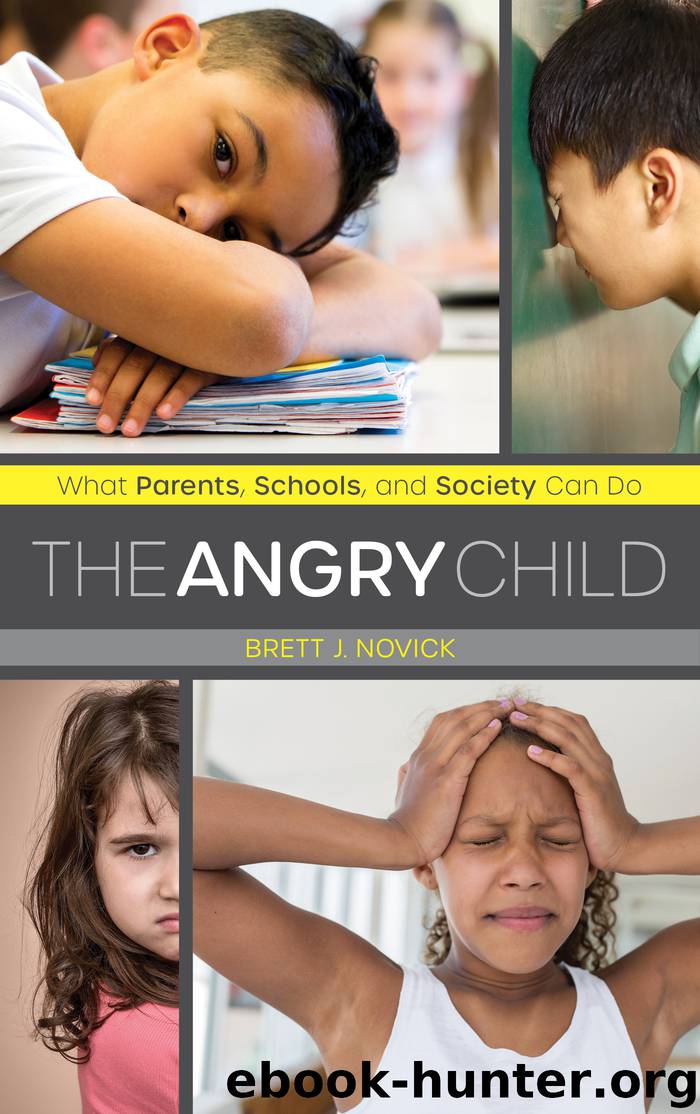 The Angry Child by Brett Novick