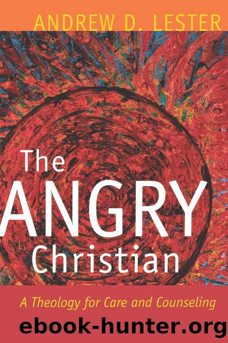 The Angry Christian by Andrew D. Lester