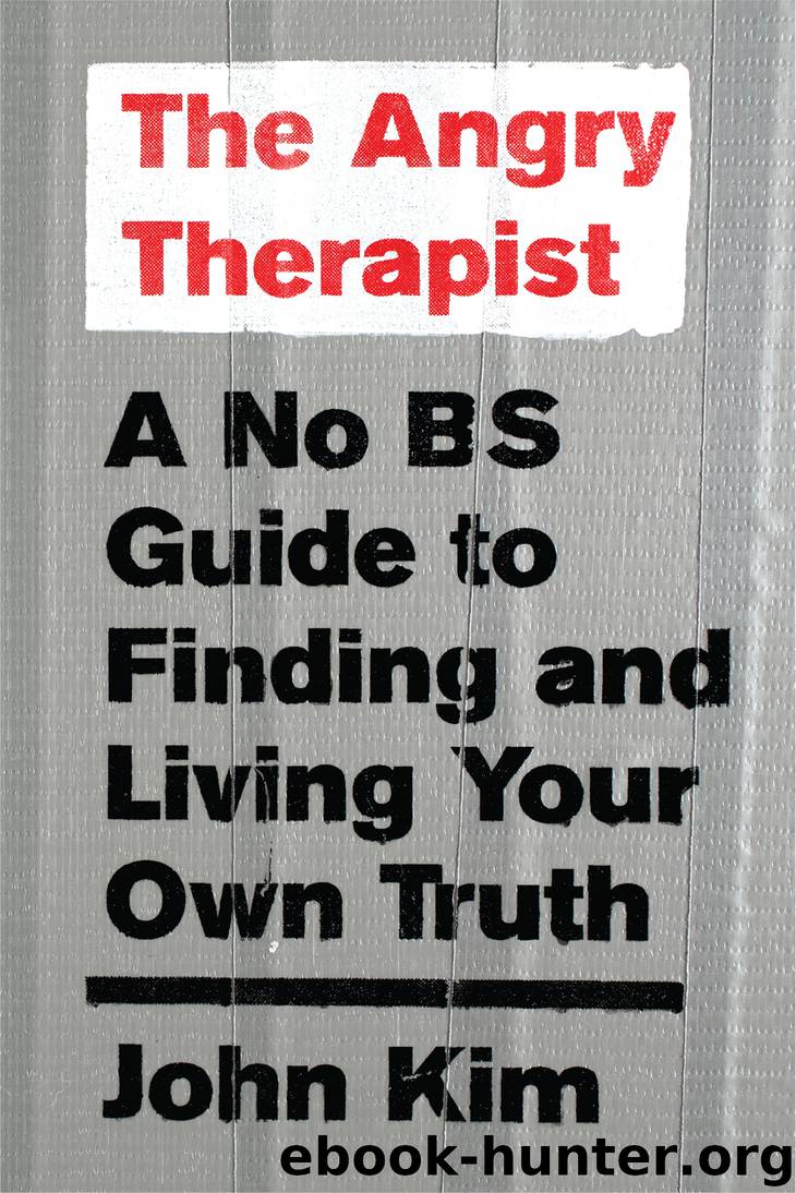 The Angry Therapist by John Kim