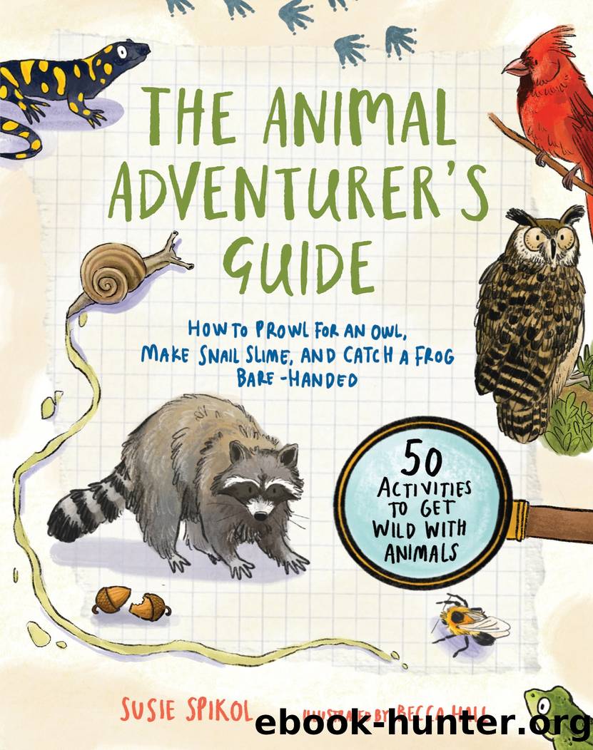 The Animal Adventurer's Guide by Susie Spikol