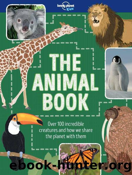 The Animal Book (Lonely Planet Kids) by Lonely Planet Kids & Ruth Martin
