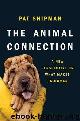 The Animal Connection: A New Perspective on What Makes Us Human by Pat Shipman