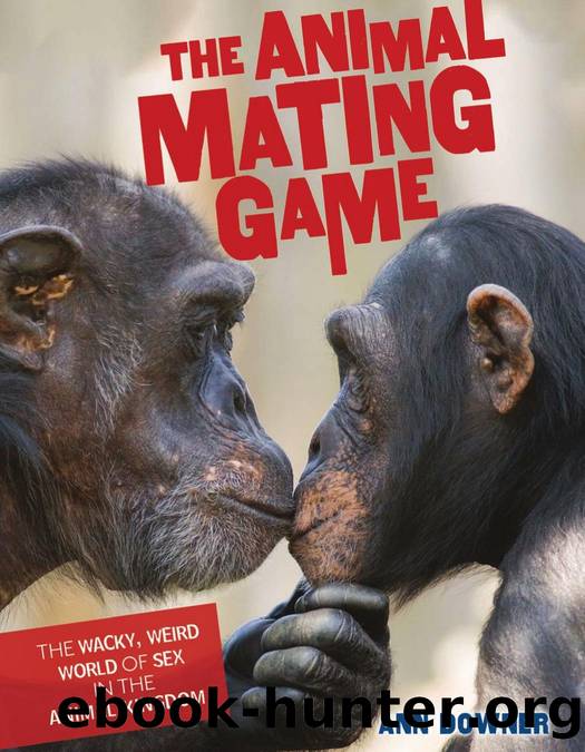 The Animal Mating Game: The Wacky, Weird World of Sex in the Animal Kingdom by Ann Downer