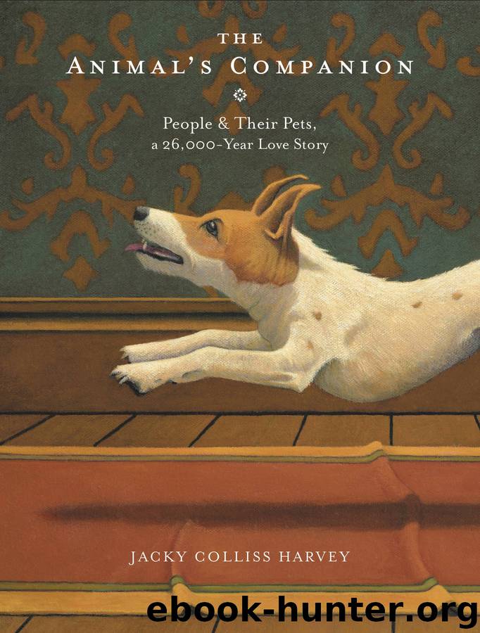 The Animal's Companion by Jacky Colliss Harvey