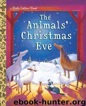 The Animals' Christmas Eve by Gale Wiersum