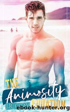 The Animosity Equation (Love Equations) by J.R. Gray