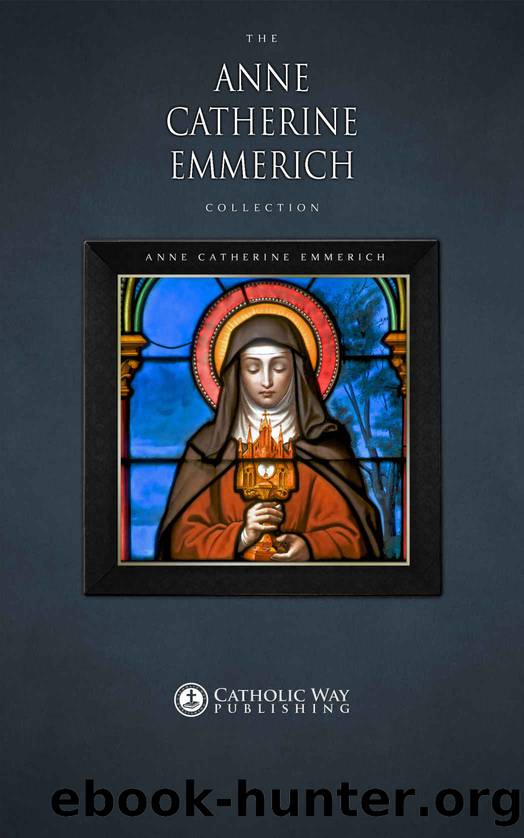 The Anne Catherine Emmerich Collection [10 Books] by Emmerich Bl. Anne Catherine