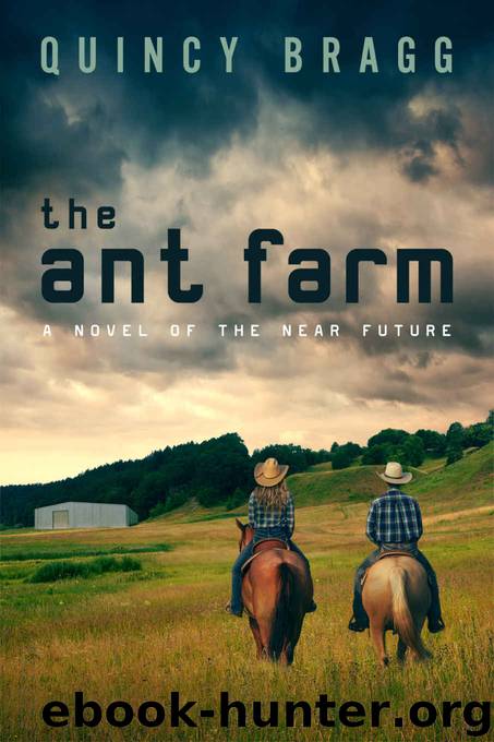 The Ant Farm by Quincy Bragg