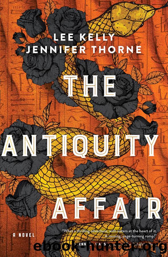 The Antiquity Affair by Lee Kelly