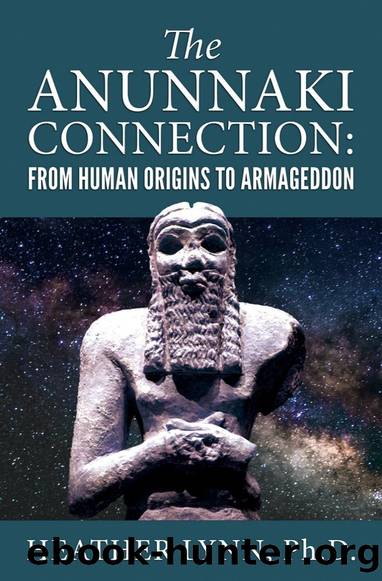 The Anunnaki Connection: From Human Origins to Armageddon by Heather Lynn