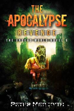 The Apocalypse Revenge 9 by Peter Meredith