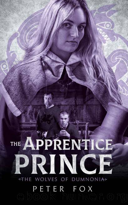 The Apprentice Prince (The Wolves of Dumnonia Book 4) by Fox Peter