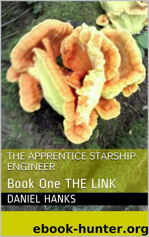 The Apprentice Starship Engineer: Book One The Link by Hanks Daniel