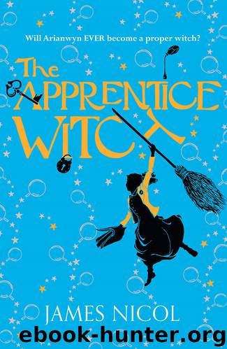 The Apprentice Witch by James Nicol