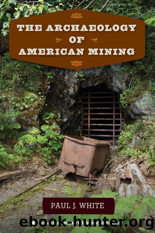 The Archaeology of American Mining by White Paul J.;