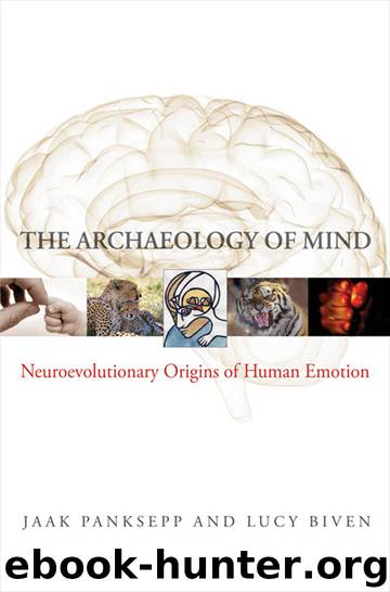 The Archaeology of Mind: Neuroevolutionary Origins of Human Emotions by Jaak Panksepp & Lucy Biven