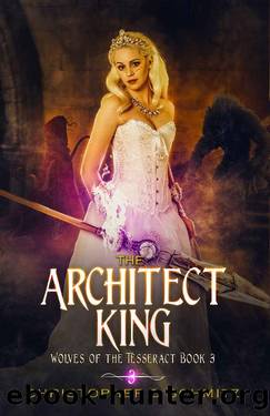 The Architect King by Christopher Schmitz