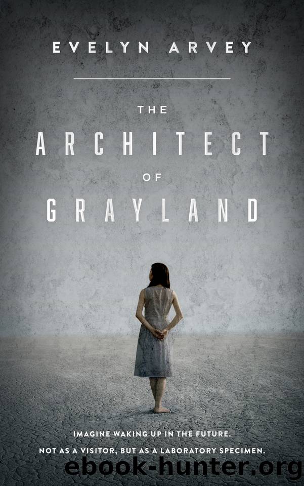 The Architect of Grayland by Arvey Evelyn