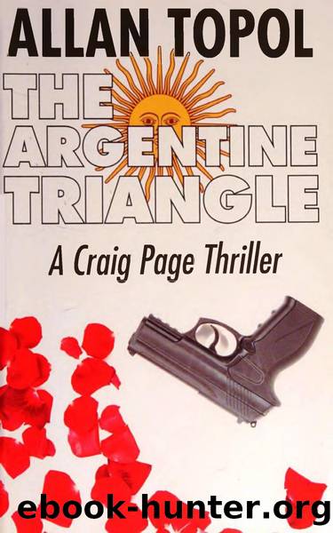 The Argentine Triangle (2014) by Allan Topol