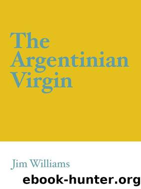 The Argentinian Virgin by Jim Williams