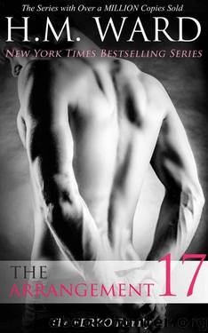 The Arrangement 17 by H.M. Ward