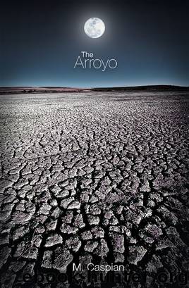 The Arroyo by M. Caspian