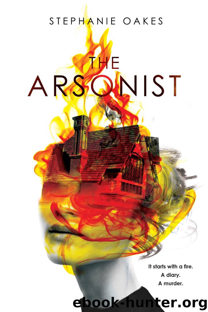 The Arsonist by Stephanie Oakes