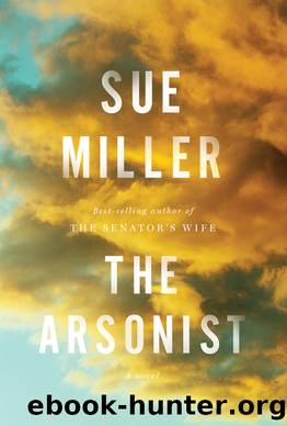 The Arsonist by Sue Miller