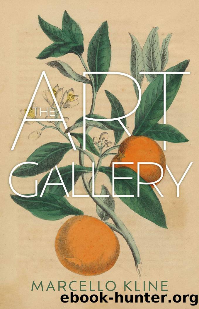 The Art Gallery by Marcello Kline