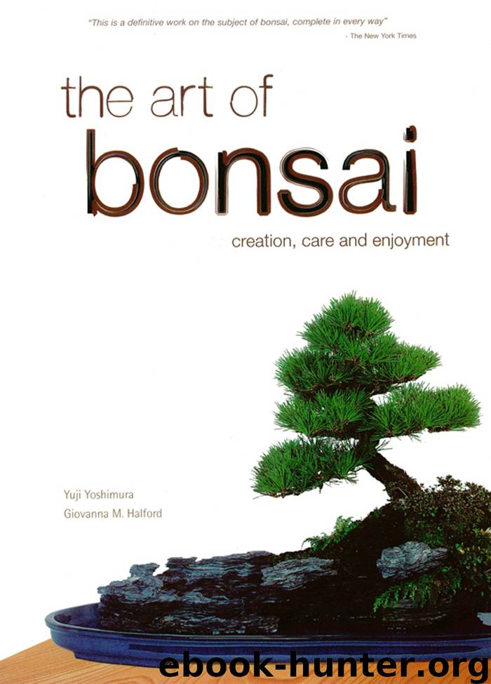 The Art of Bonsai by Yuji Yoshimura & Giovanna M. Halford